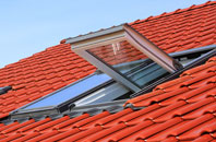 Garmston roof window